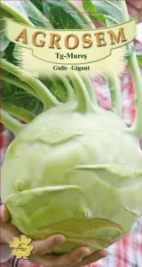 Gulie Gigant 600 seminte - soi tardiv, gulie foarte mare, rezistenta la crapare, Agrosem